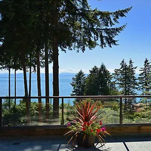 treetopbnb.vancouver-hotels-bc.net/